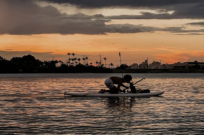 1-Hour Condado Lagoon Paddleboard Rental in San Juan - Independent paddling is both the appeal and the catch