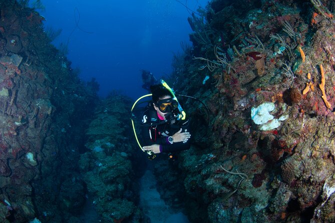 2-Tank Scuba Boat Trip in World-Class Sites @ Copamarina - Two underwater sites with very different personalities