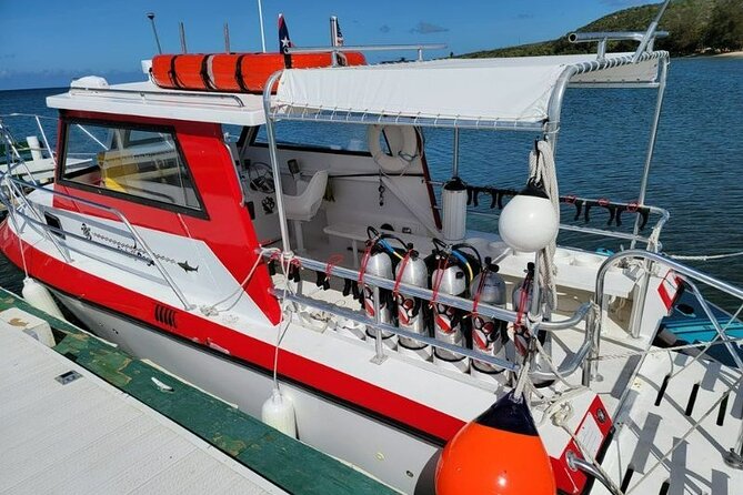 2-Tank Scuba Boat Trip in World-Class Sites @ Copamarina - What a strong morning should look like