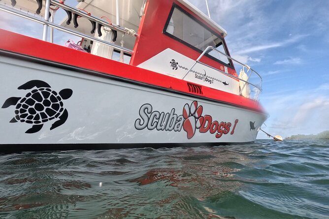 2-Tank Scuba Boat Trip in World-Class Sites @ Copamarina - Booking and cancellation advice