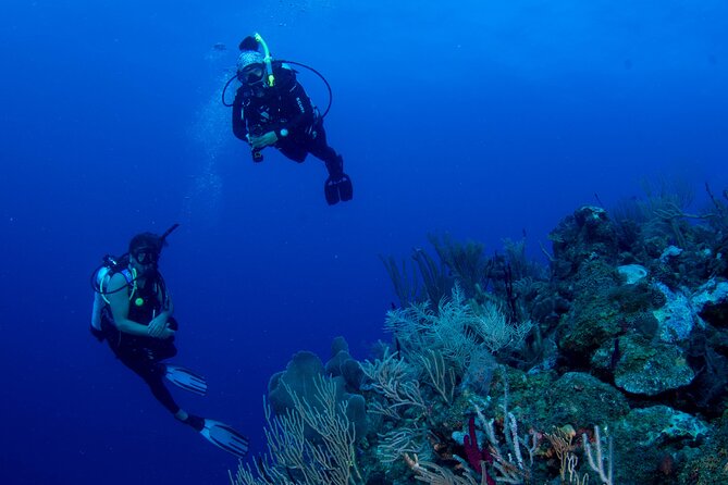 2-Tank Scuba Boat Trip in World-Class Sites @ Copamarina - What the 7:00 am start really means