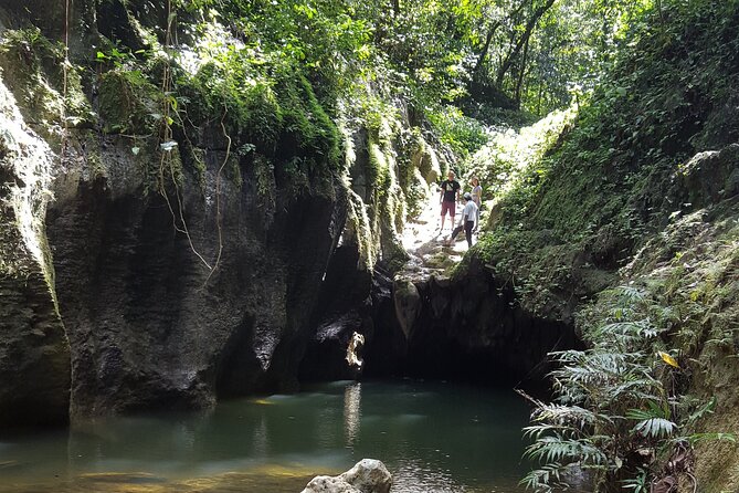 Adventure Half Day Explore Cueva Charco Azul and Cueva Arenales - A biology lesson before the cave entrance