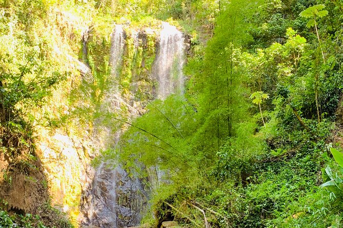 Adventure to a Hidden Waterfall, Private Tour - Following the river instead of taking a short walk