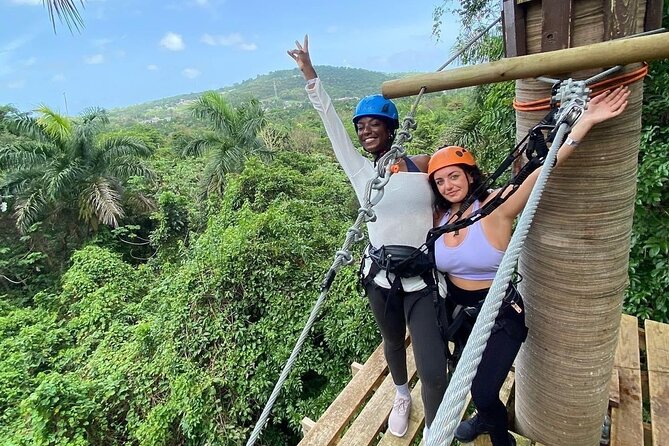 Adventure Trail Tour in the foothills of the National Rainforest - Key points to know before you go