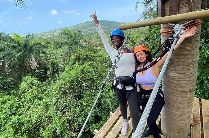 Adventure Trail Tour in the foothills of the National Rainforest - Why the $110 price may or may not work for you