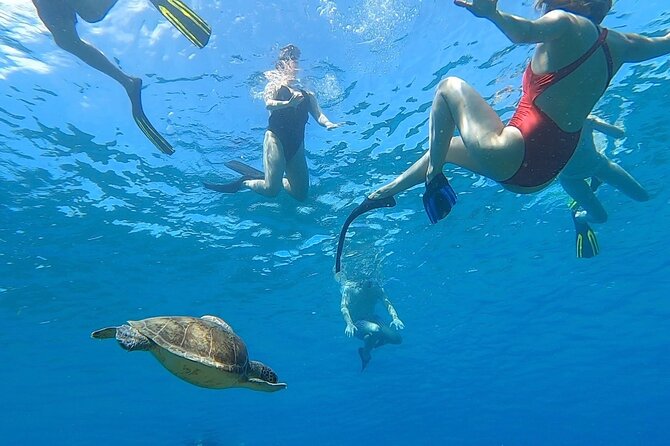 Aguadilla Tropical Snorkeling - The safety briefing sets the tone
