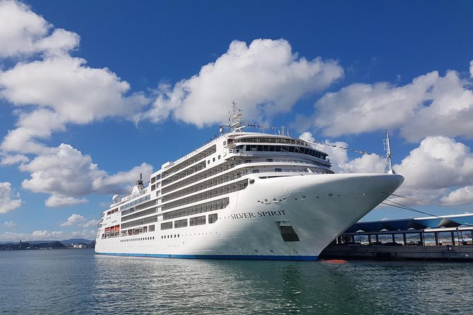 Airport Transfer to Cruise Ships, Hotels, Airbnb in San Juan - Meeting your driver at Luis Muñoz Marín International Airport