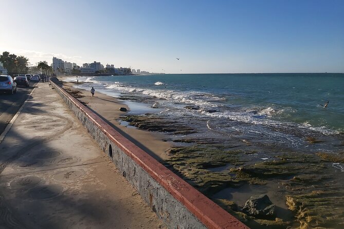 Airport Transfer to Cruise Ships, Hotels, Airbnb in San Juan - Vehicle comfort, luggage, and family details