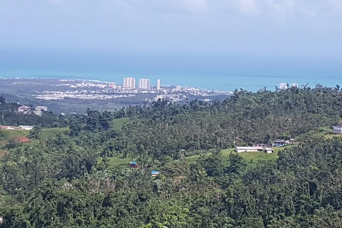 Airport transportation between San Juan and Rio Grande - One-Way Value and the Round-Trip Choice
