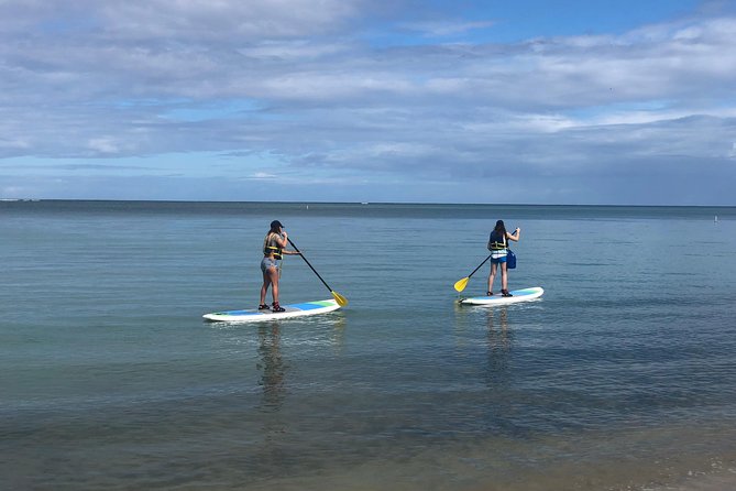 All-Day Paddleboard Rental – Fajardo, Puerto Rico - Key Points to Know Before You Paddle