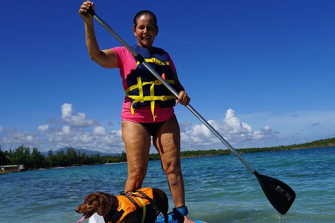 All-Day Paddleboard Rental – Fajardo, Puerto Rico - A Quiet Way to See Fajardo’s Wildlife