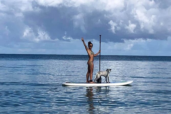 All-Day Paddleboard Rental – Fajardo, Puerto Rico - How Much Time Should You Rent?