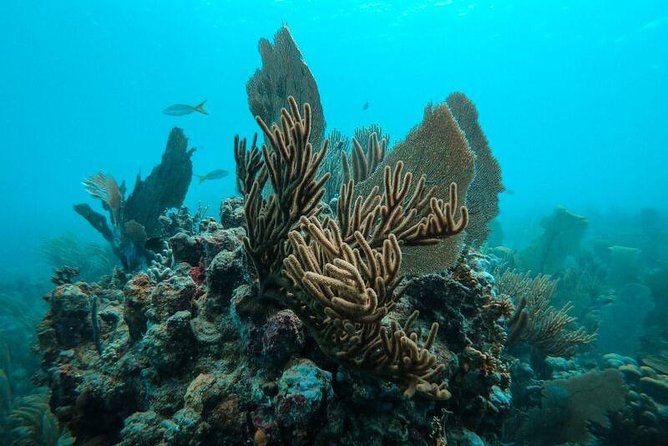 All Inclusive Beach and Snorkel Boat Tour to Icacos Island - Lunch, Music, and the Boat’s Easygoing Mood
