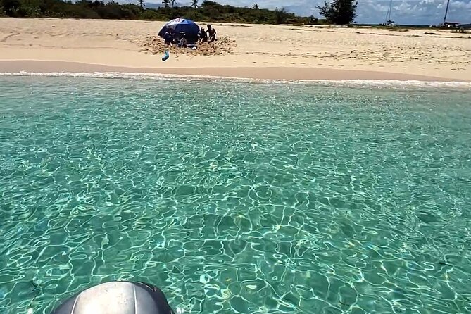All-Inclusive: Mako 29ft Boat Tour to Icacos Palomino & Palominito - Palomino Island and its private shoreline