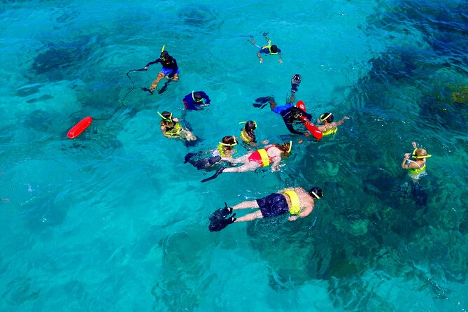 All Inclusive Snorkel and Slide Boat Tour: Icacos or Vieques - Vieques or Icacos, and why the timing matters