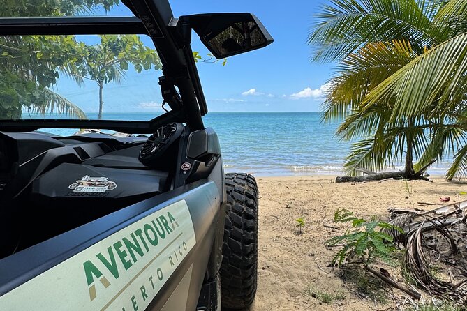 Añasco-Bunny Fever Adventure Experience - Why this west-coast outing feels different