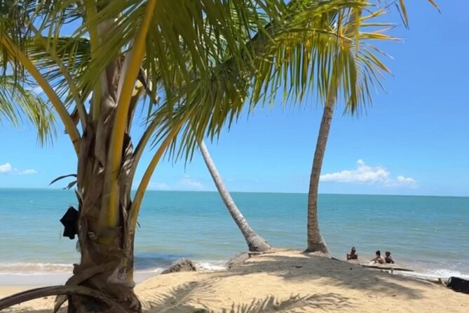 Añasco-Bunny Fever Adventure Experience - Ending at Bad Bunny’s Añasco beach