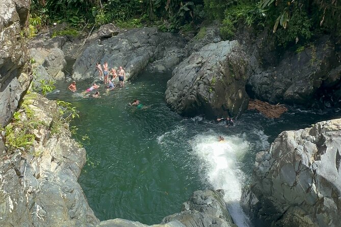 Authentic El Yunque Rainforest Adventure — Waterfalls & Slides - What the guides add beyond safety