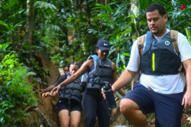Authentic El Yunque Rainforest Adventure — Waterfalls & Slides - Price, inclusions, and the value at $35.99