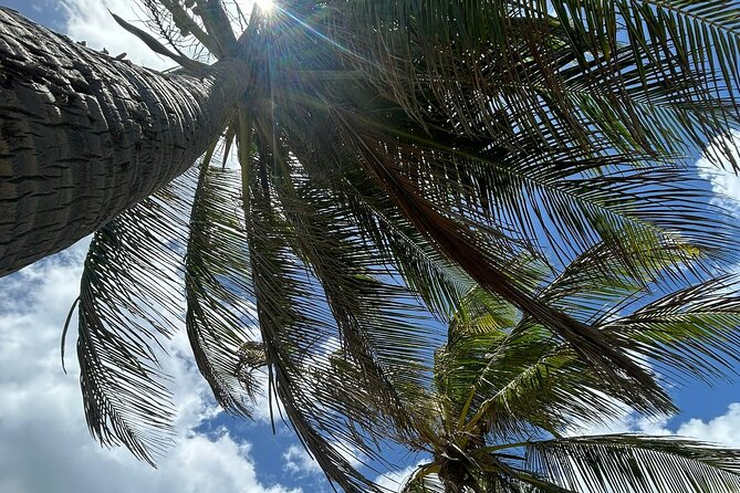 Beach Bliss Yoga in San Juan - Stretching, balance, and safe movement