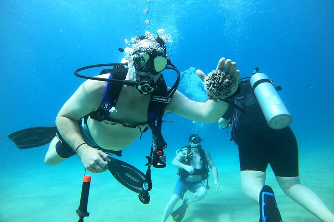 Beginner Scuba Diving Guided Tour - No Experience Required - Your first underwater lesson in Rincón