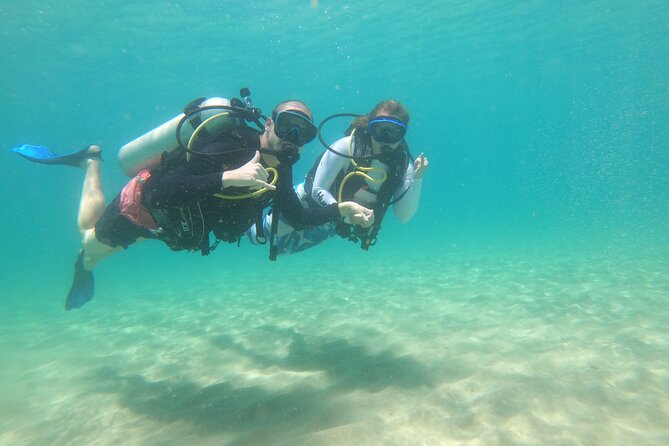 Beginner Scuba Diving Guided Tour - No Experience Required - Coral, fish, and the included underwater video
