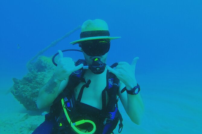 Beginner Scuba Diving Guided Tour - No Experience Required - Why the private format is worth the $99 price