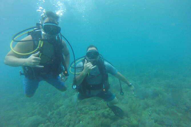 Beginner Scuba Diving Guided Tour - No Experience Required - Timing, weather, and the most important planning tip