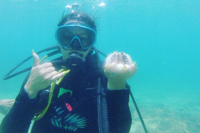 Beginner Scuba Diving Guided Tour - No Experience Required - Who will enjoy this Rincón scuba lesson