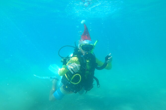 Beginner Scuba Diving Guided Tour - No Experience Required - What makes the instruction especially useful for beginners