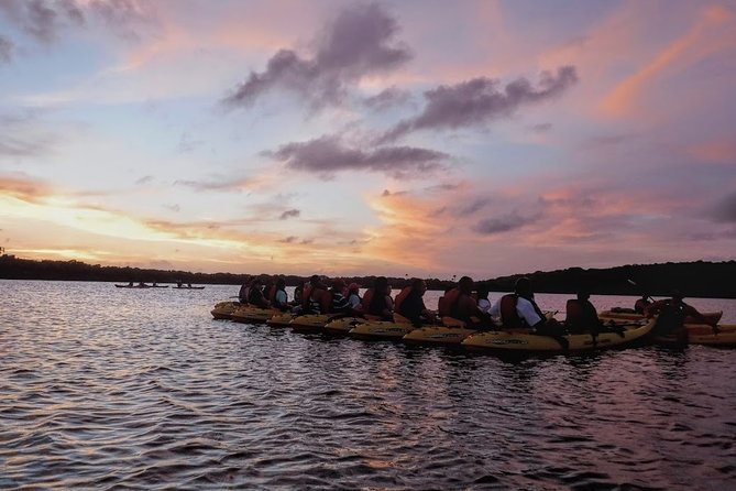 Bio Bay Kayak Tour in Fajardo - Returning through the mangroves in darkness