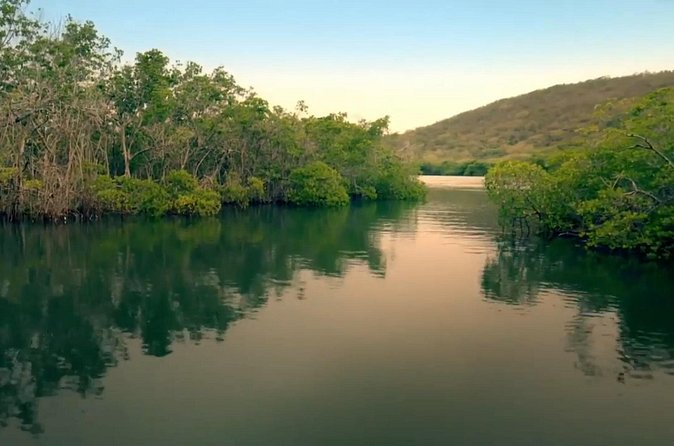 Bio Bay Magic and Rum Tasting Tour from San Juan - Why the La Parguera bio bay is worth the long ride