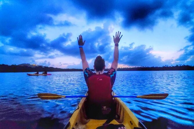 Bio Bay Night Kayak Tour in Fajardo - Key points to know before booking