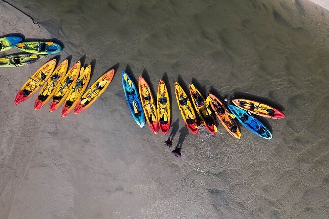 Bio Bay Night Kayak Tour in Fajardo - Why Laguna Grande is worth the night paddle