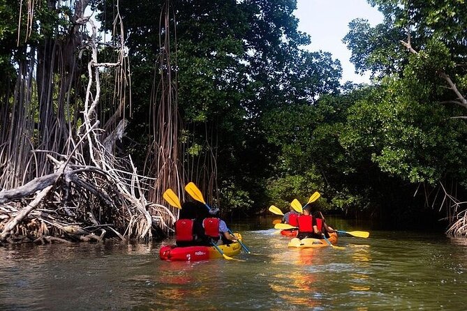 Bio Bay Night Kayak Tour in Fajardo - Reaching Laguna Grande after dark