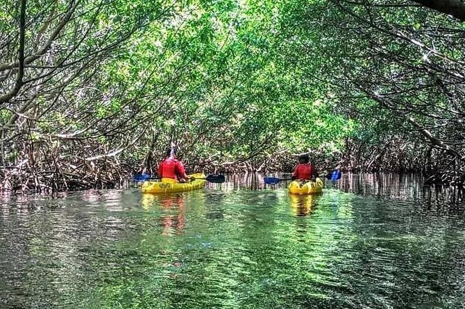 Bio Bay Night Kayak Tour in Fajardo - How hard is the kayaking?
