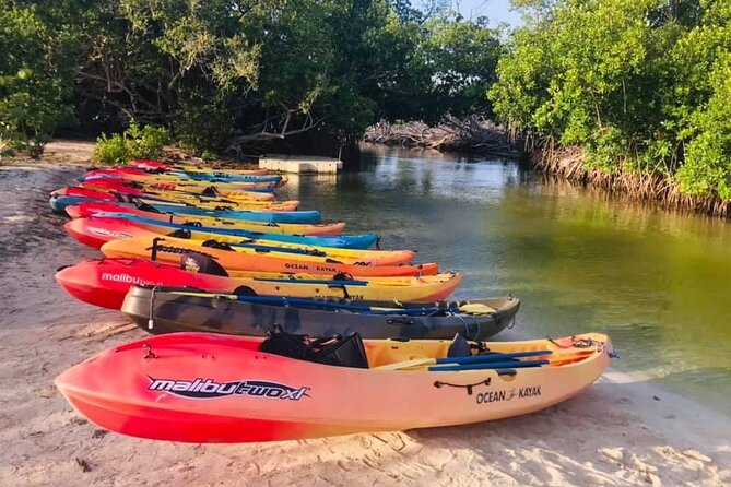 Bio Bay Night Kayak Tour in Fajardo - Paddling one mile through the mangroves