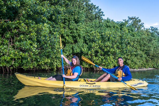 Bio Bay Night Kayak Tour with Transport from San Juan - What makes Laguna Grande feel so unusual