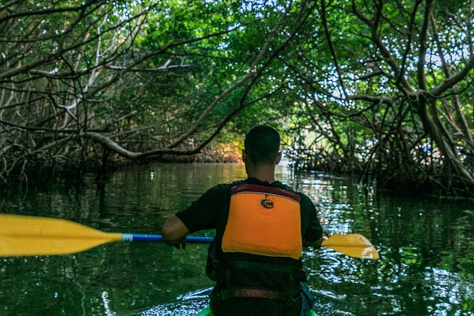 Bio Bay Night Kayaking | Laguna Grande, Fajardo - Reaching the glowing water of Laguna Grande