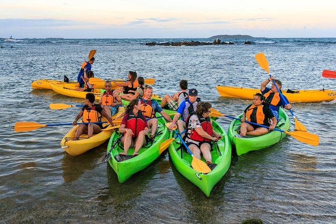 Bio Bay Night Kayaking with Transport from San Juan Area - Why Laguna Grande is worth the trip from San Juan