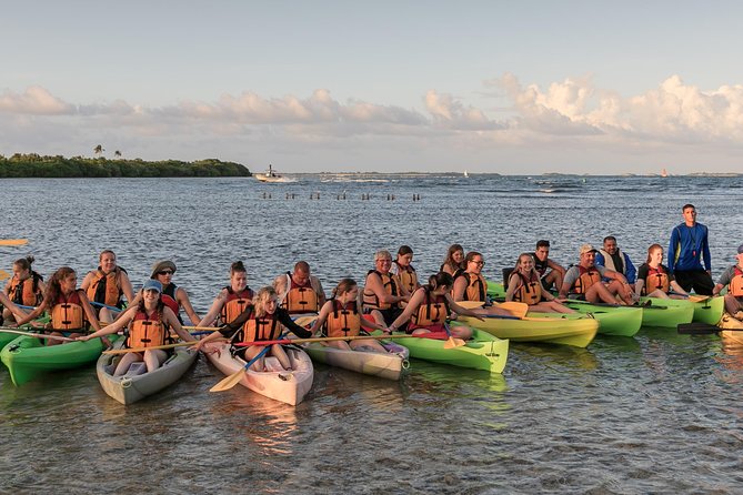 Bio Bay Night Kayaking with Transport from San Juan Area - Who should book this night kayak trip?