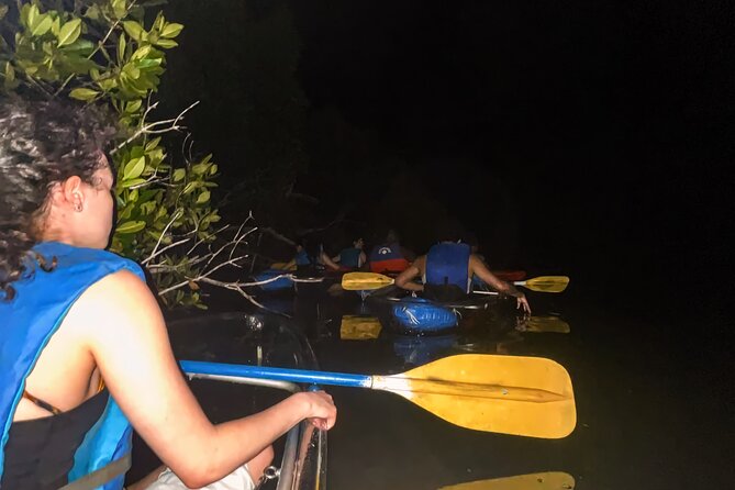 Bio Bay Tour Vieques – Full Clear Canoes Experience - Who will enjoy this night most
