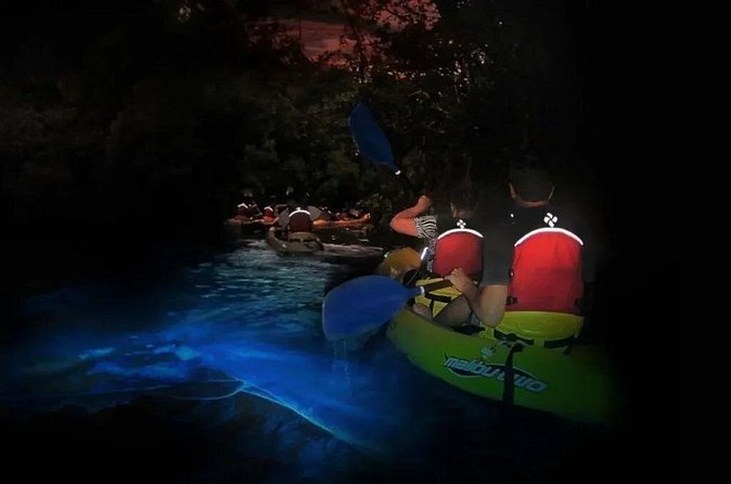 BioBay Sunset Splash-Kayaking Tour - What the $107 price means