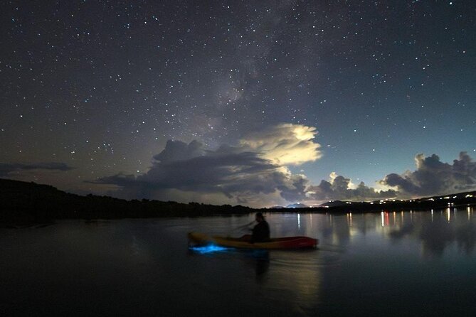 Biobay Vieques Tour Kayak Night Tour - Guides who explain more than the bay