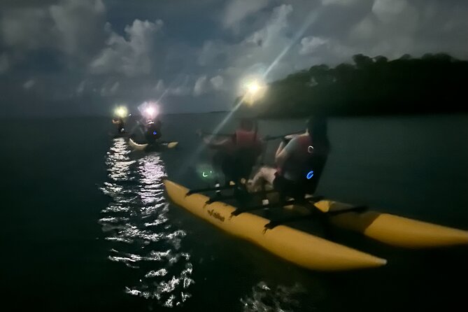 Bioluminescent Bay Chiliboats Waterbike Tour in La Parguera - How much bioluminescence should you expect?