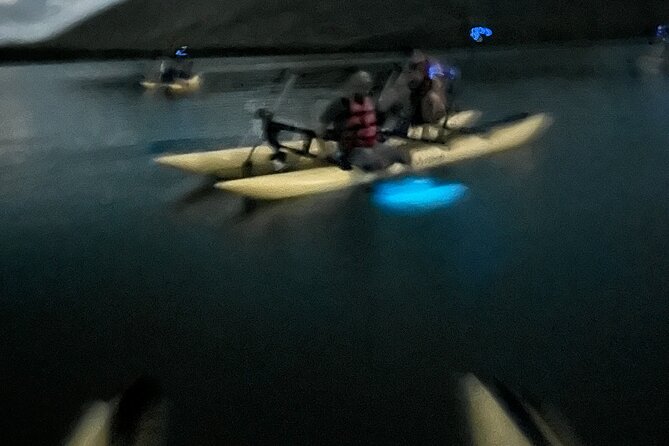 Bioluminescent Bay Chiliboats Waterbike Tour in La Parguera - The guides and the learning side