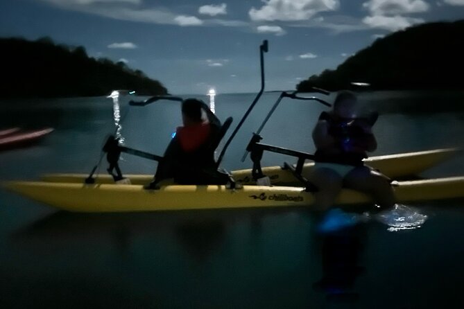 Bioluminescent Bay Chiliboats Waterbike Tour in La Parguera - Physical requirements and important limits