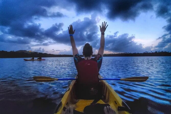 Bioluminescent Bay Kayak Tour in Fajardo Puerto Rico - Meeting in Las Croabas, Fajardo