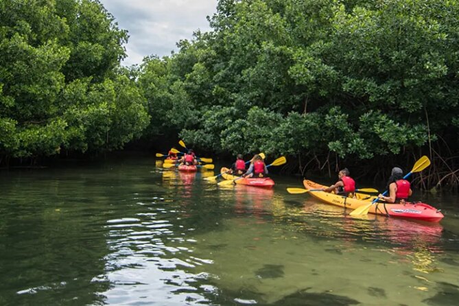 Bioluminescent Bay Kayak Tour in Fajardo Puerto Rico - How much value do you get for $93?