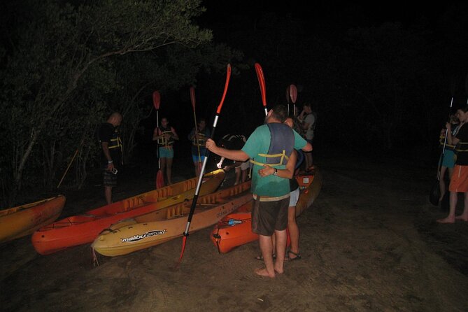 Bioluminescent Bay Kayak Trip from Vieques - Why Mosquito Bay Glows After Dark